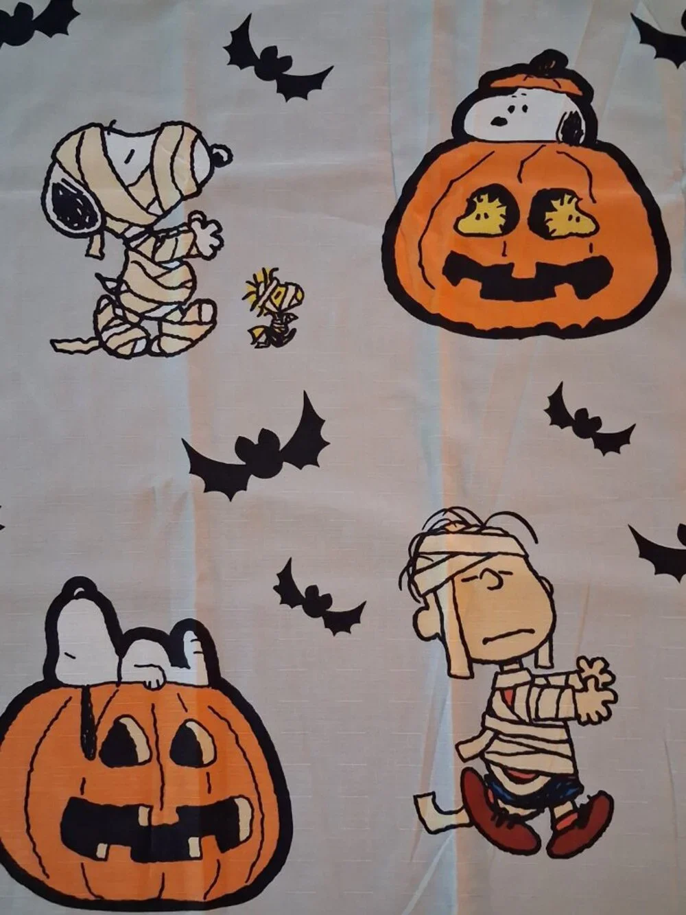Peanuts Halloween Shower Curtain Pumpkin Mummy Snoopy Charlie Brown Woodstock